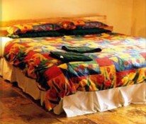 Cinnamon Coloureds Farmstay - Tourism Caloundra 1