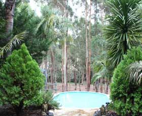 Fern Gulley Retreat - Tourism Caloundra 0