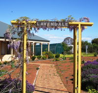 Lavendale Farmstay and Cottages - Tourism Caloundra