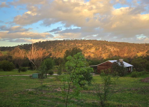 Lavendale Farmstay And Cottages - Tourism Caloundra 4