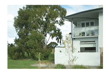 Clifton Hill VIC Tourism Caloundra