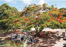 Barnacles Backpackers - Tourism Caloundra 1