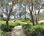 Beachmere Lions Caravan Park - Tourism Caloundra 2