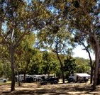 Barracrab Caravan Park - Tourism Caloundra
