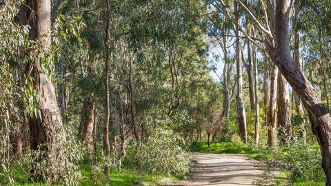 Time Out Holiday Park - Tourism Caloundra 1