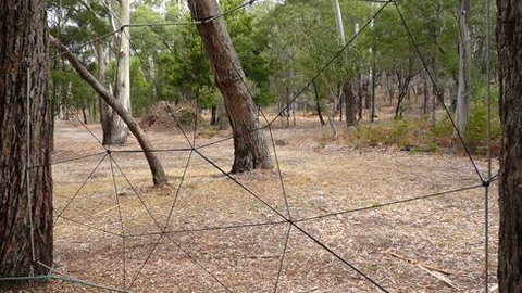 UC Camping Norval - Tourism Caloundra 4