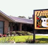 Begonia City Motor Inn - Tourism Caloundra