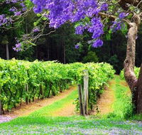Bago Vineyards - Tourism Caloundra