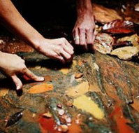 Daintree Eco Lodge And Spa - Tourism Caloundra