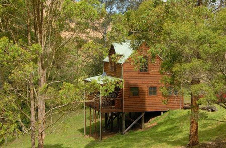 Cobark NSW Tourism Caloundra