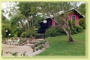 Jacaranda Cottage - Tourism Caloundra 2