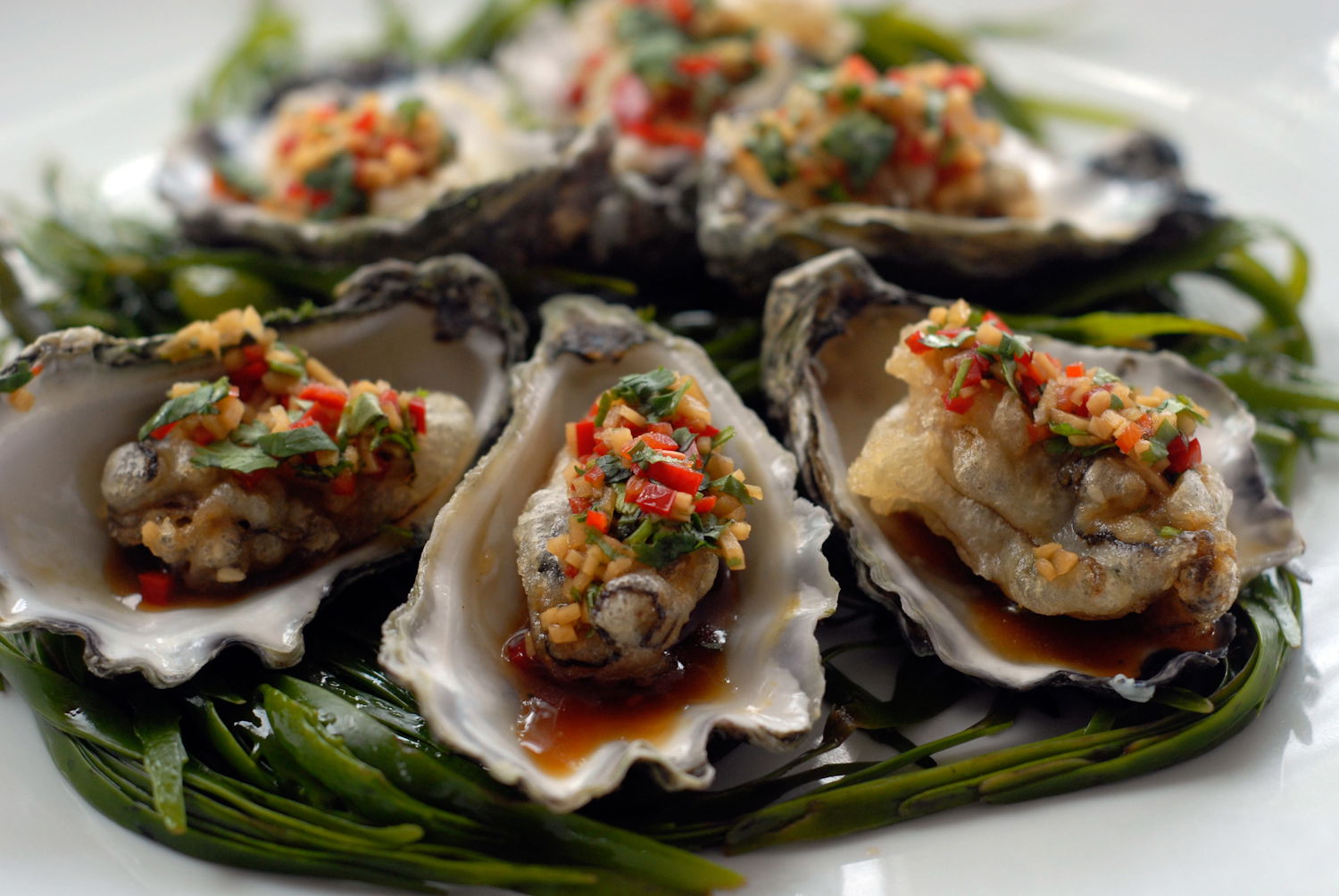 Mollymook NSW Tourism Caloundra