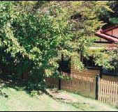 Apple Tree Cottage - Tourism Caloundra