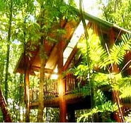 The Canopy Treehouses - Tourism Caloundra