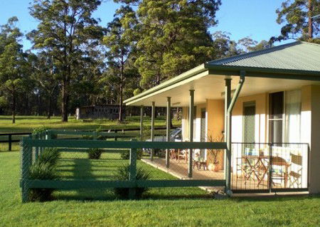 Neds Bed Horse O Tel - Tourism Caloundra 1