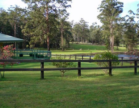 Neds Bed Horse O Tel - Tourism Caloundra 2