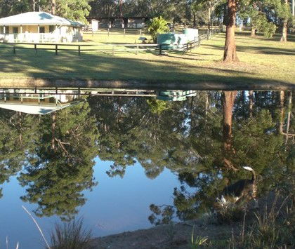 Neds Bed Horse O Tel - Tourism Caloundra 4