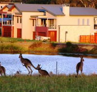 Grand Mercure The Vintage Hunter Valley - Tourism Caloundra