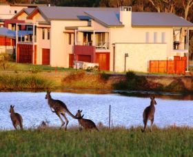Grand Mercure The Vintage Hunter Valley - Tourism Caloundra 0