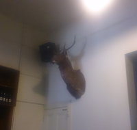 Union Hotel - Tourism Caloundra