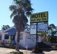 Blackboy Tree Motel - Tourism Caloundra