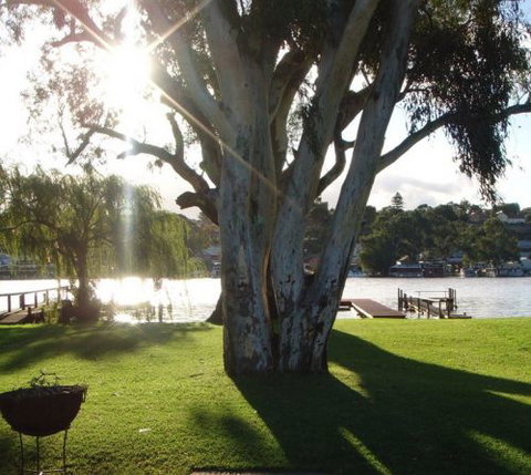 Eleven From The Left - Tourism Caloundra 1