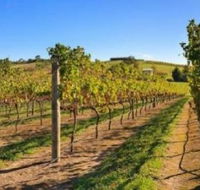 DeVine Escape - Tourism Caloundra