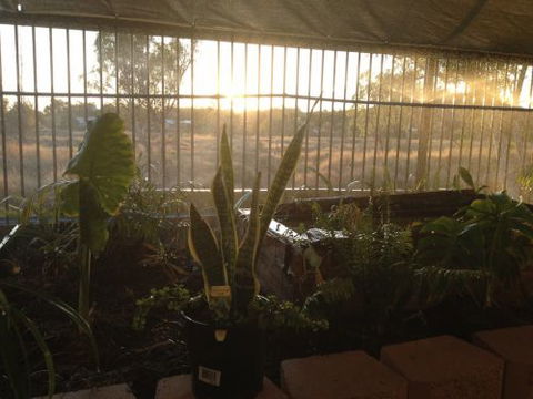 Cityside Accommodation | Mt Isa - Tourism Caloundra 5