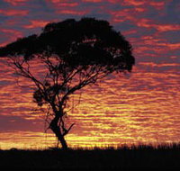 Kimba Caravan Park amp Motel - Tourism Caloundra