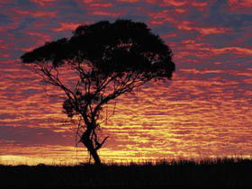 Kimba Caravan Park & Motel - Tourism Caloundra 0