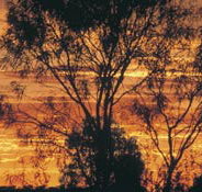 Tilmouth Well - Tourism Caloundra