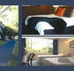 The Albany - Tourism Caloundra