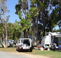 Elliston Caravan Park - Tourism Caloundra