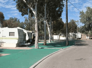 Office Beach Caravan Park - Tourism Caloundra 2