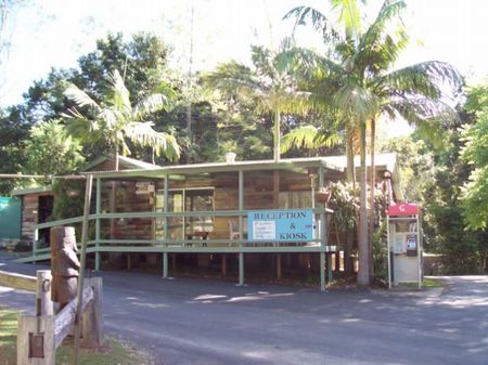 Mount Warning Rainforest Park - Tourism Caloundra 1