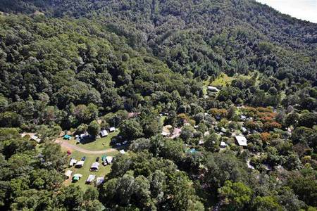 Mount Warning Rainforest Park - Tourism Caloundra 3