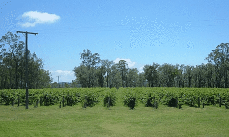 Copper Country Motor Inn - Tourism Caloundra 3