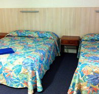 Mango Tree Motel - Tourism Caloundra