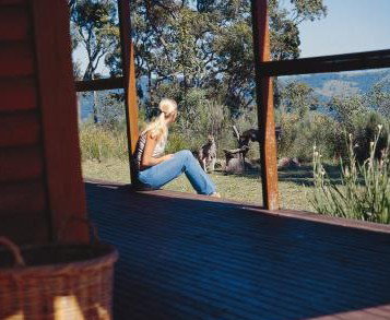 Eaglereach Wilderness Resort - Tourism Caloundra 2