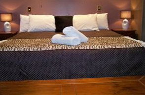 Bohemia Resort Cairns - Tourism Caloundra 1