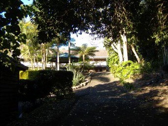 Montville Mountain Inn - Tourism Caloundra 2