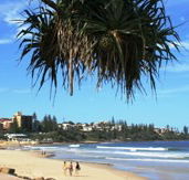 Mariners Caloundra - Tourism Caloundra