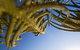 Terrigal Sails Serviced Apartments - thumb 5