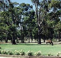 Saratoga Lodge - Tourism Caloundra