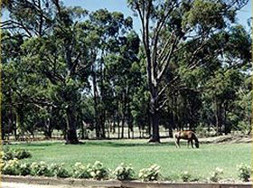 Saratoga Lodge - Tourism Caloundra 0