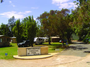 Wellington SA Tourism Caloundra