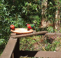 Tree Tops - Tourism Caloundra