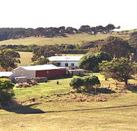 Sun Valley Eco Farm - Tourism Caloundra