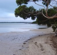 Stanley Lakeside Spa Cabins - Tourism Caloundra