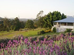 Dayboro QLD Tourism Caloundra